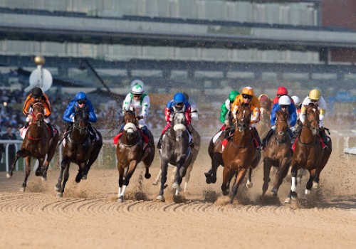 Dubai World Cup hospitality, making that perfect day at the races