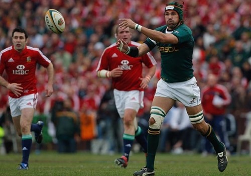 lions sa rugby