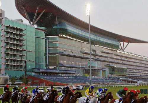 Dubai World Cup 2024: Blessed by a Bounty of Thrilling Thoroughbreds